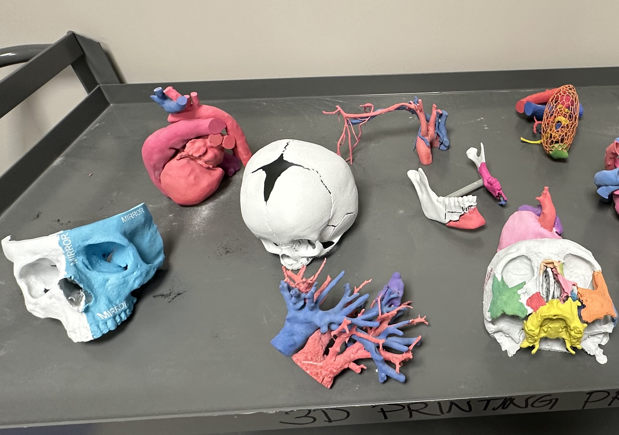 3D Models